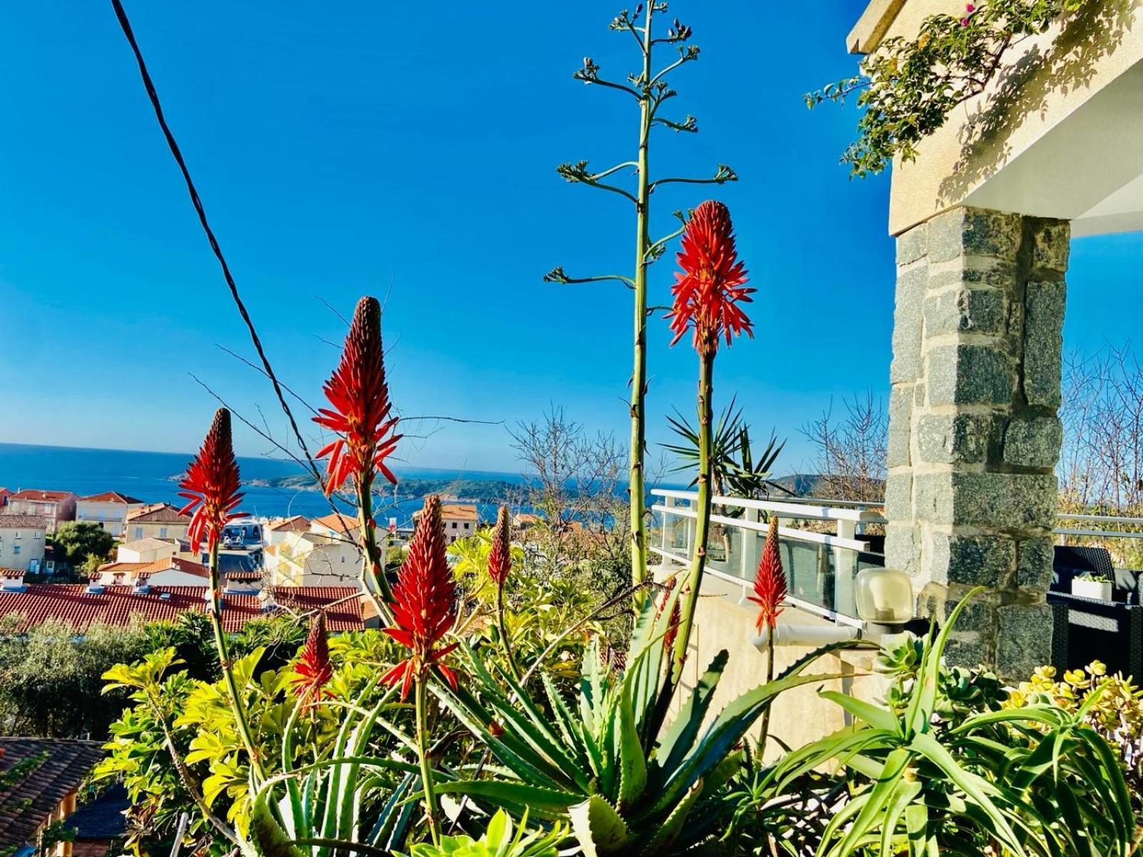 Villa Montalbo Vue Mer De 2 A 10 Personnes Cargèse Buitenkant foto